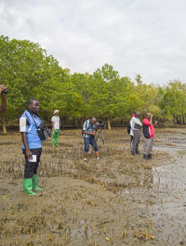 Waterbird count Rufiji